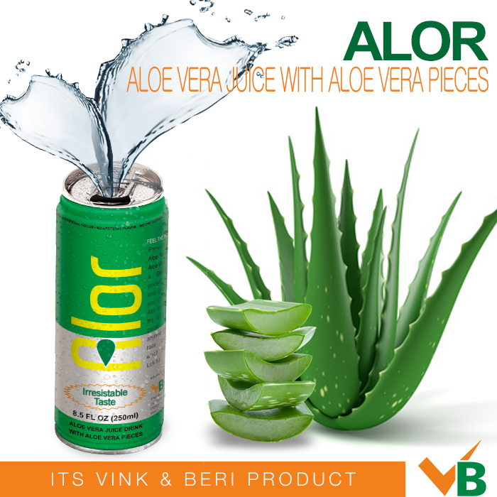 Vink & Beri LLC | ALOR Aloe Vera Juice Drink with Aloe Vera Pieces